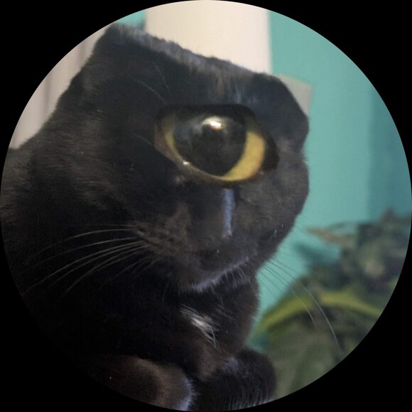 auzybobozzy